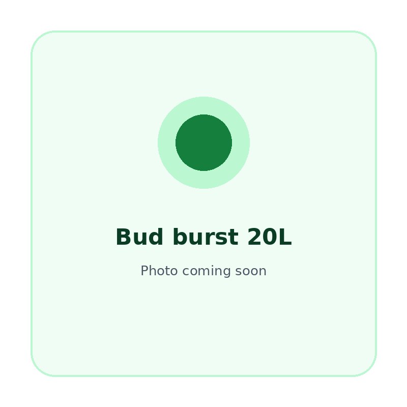 Bud burst 20L