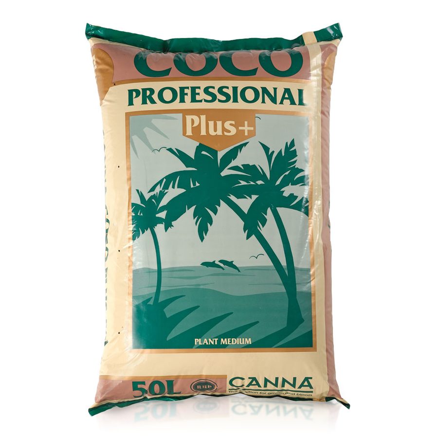 Coco Canna
