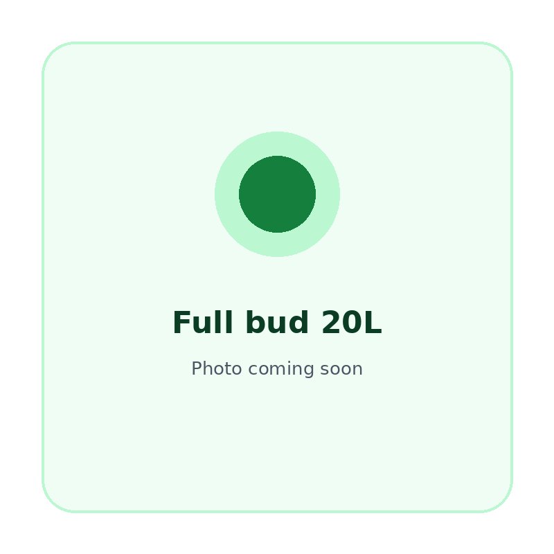 Full bud 20L