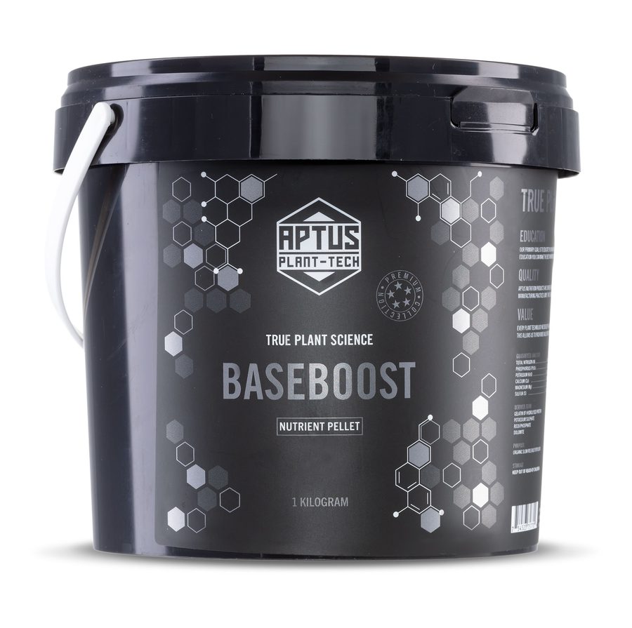 Aptus Baseboost 1kg
