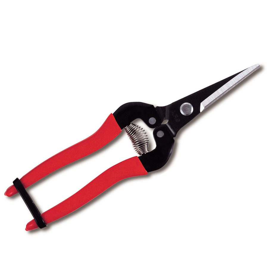 ARS Long Nose Flower Snip Stainless Steel