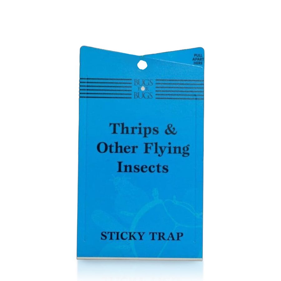 Bugs for Bugs Blue Sticky Trap