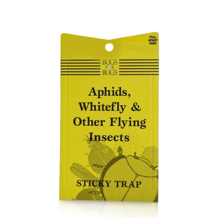 Bugs for Bugs Yellow Sticky Trap