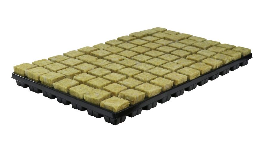 Cultiwool Stonewool 77 Tray