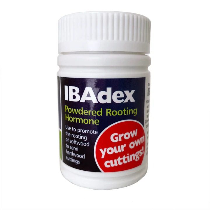 IBAdex Powdered Rooting Hormone 25G