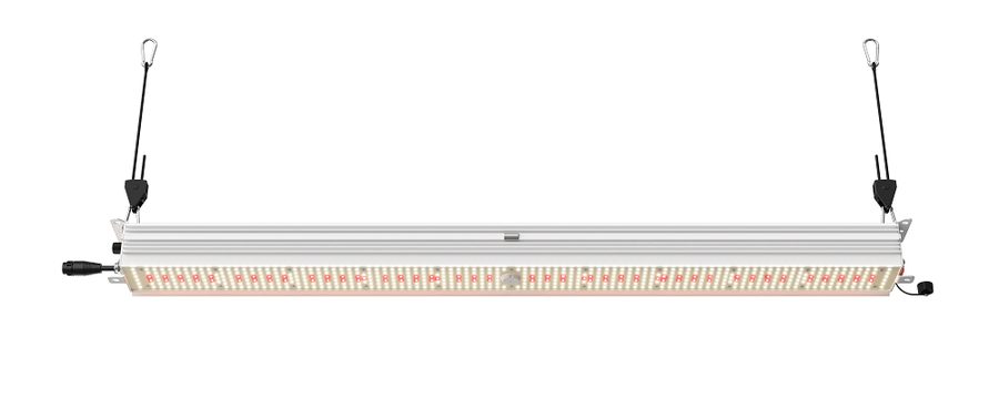 Lucius Bar R 240W LED