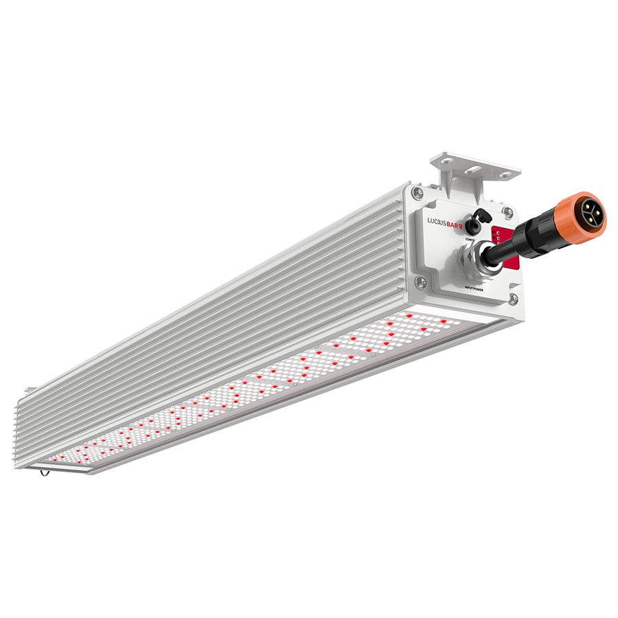 Lucius LED Bar R IP66 140W