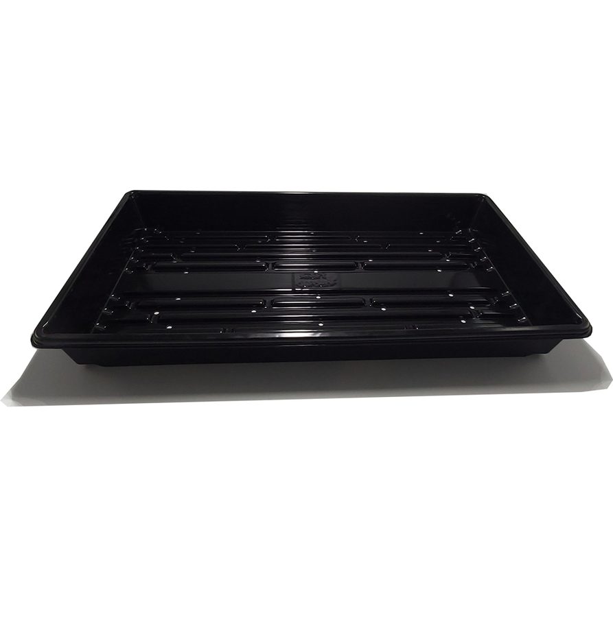 Prop Tray W/Holes 25x50 cm