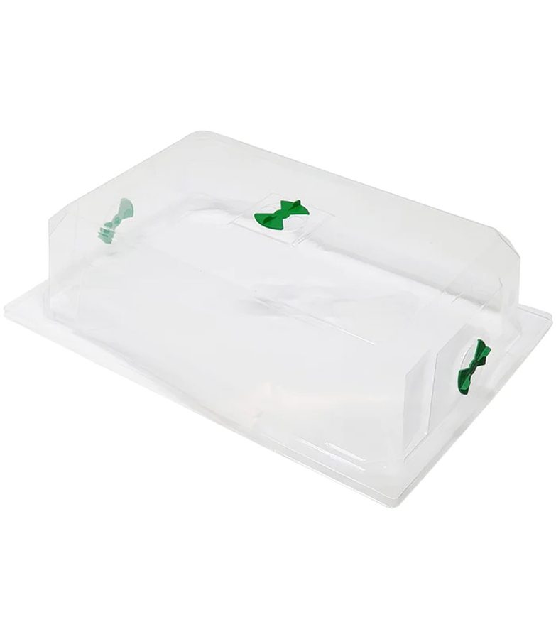 Propagation Dome XL Clear (Fit 23L Tub)